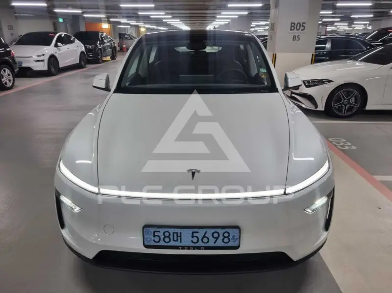 2025 Tesla Model Y