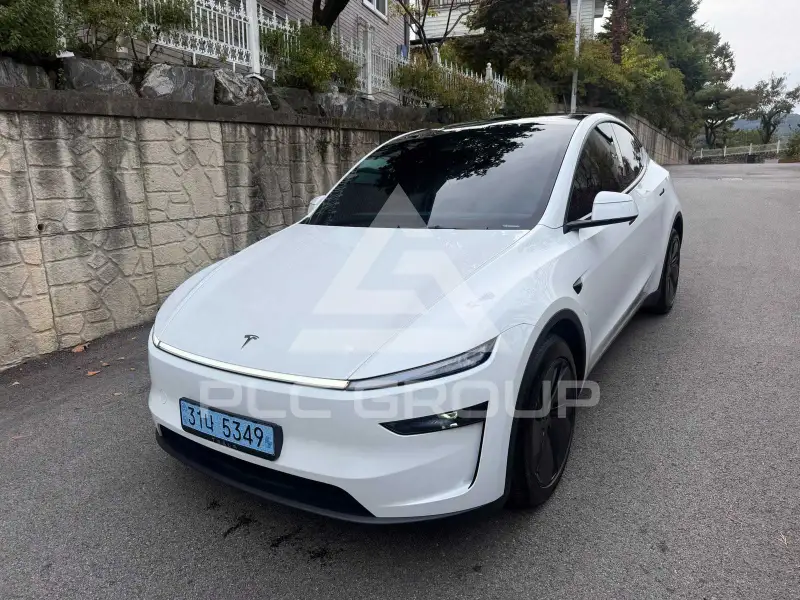 2025 Tesla Model Y