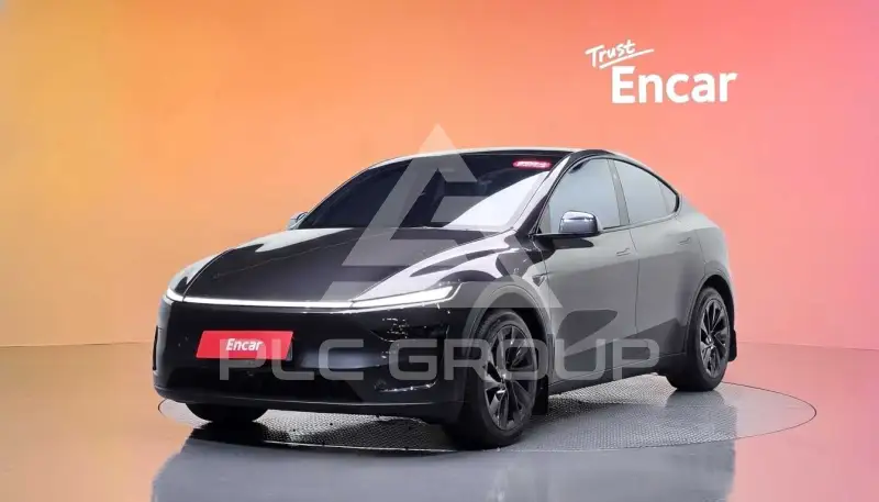 2025 Tesla Model Y