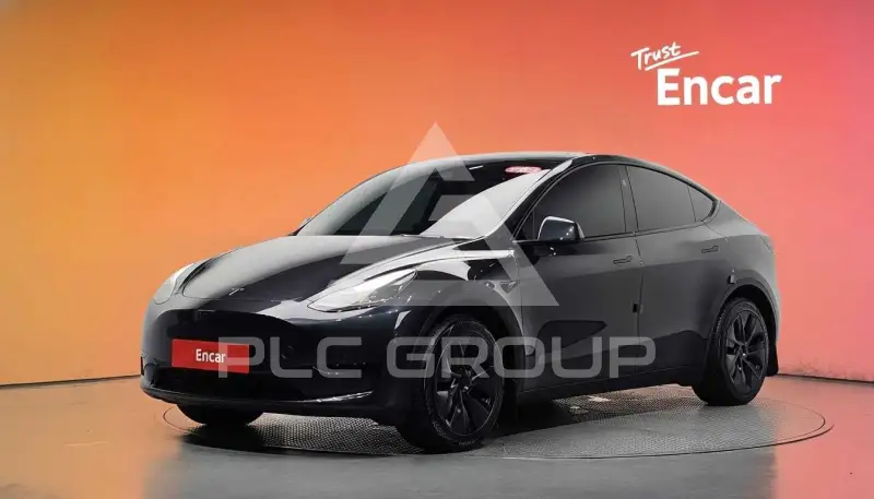 2025 Tesla Model Y