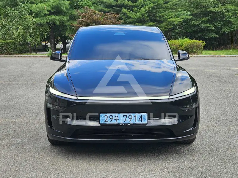 2025 Tesla Model Y