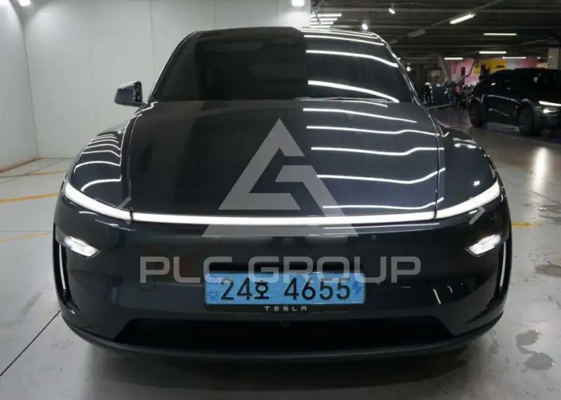 2025 Tesla Model Y