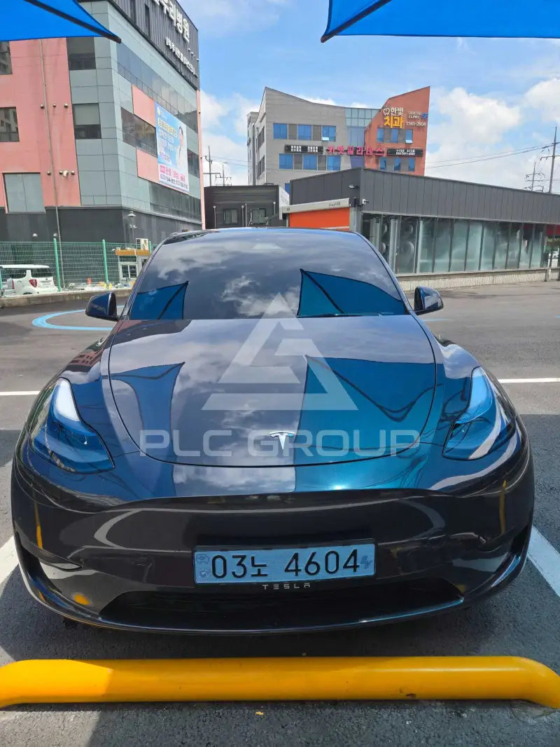 2025 Tesla Model Y