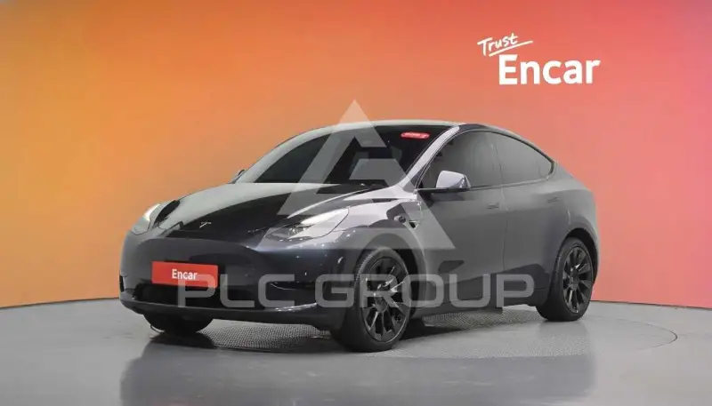 2025 Tesla Model Y