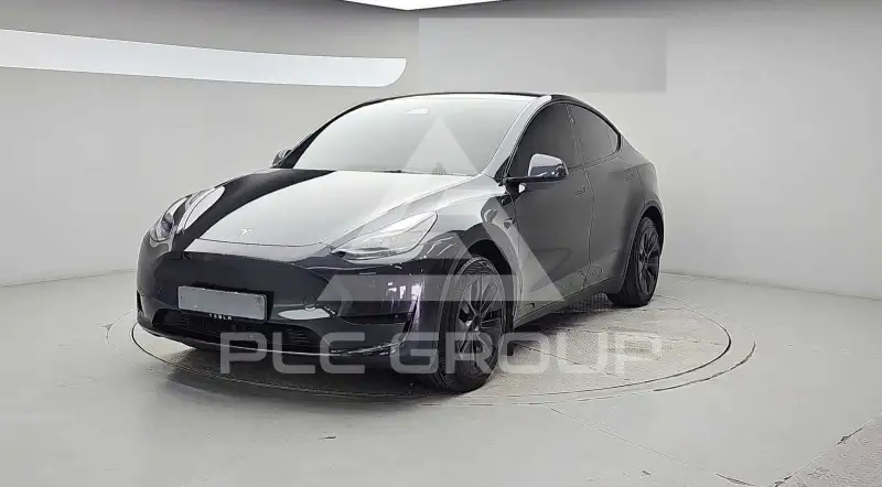2025 Tesla Model Y