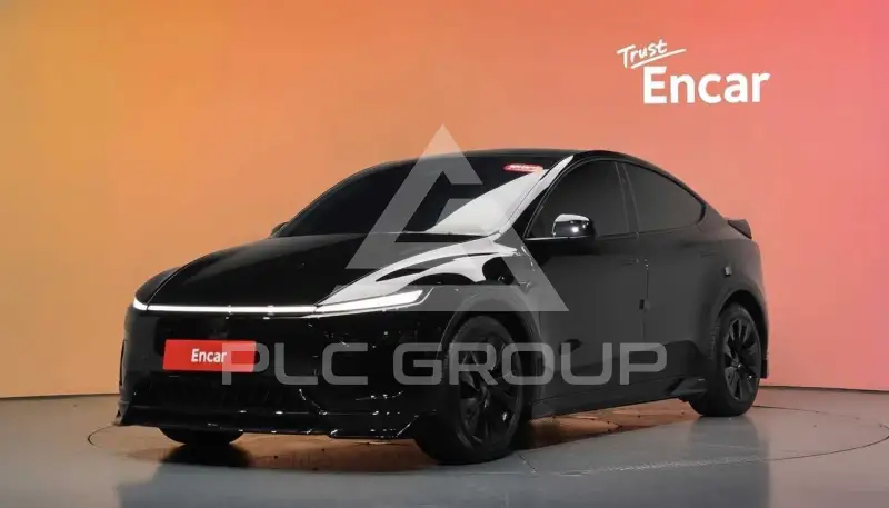 2025 Tesla Model Y