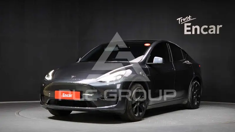2025 Tesla Model Y