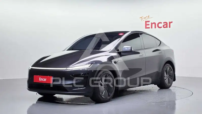 2025 Tesla Model Y
