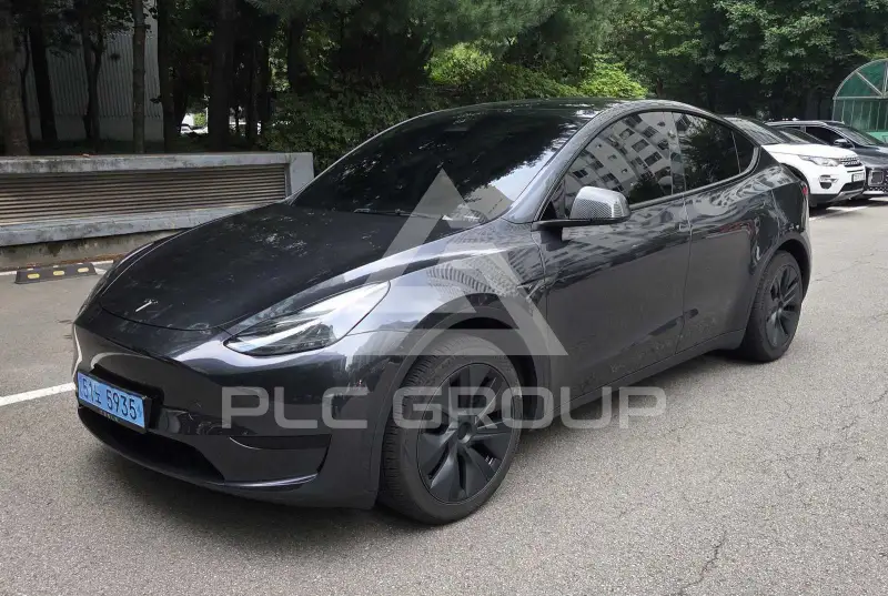 2025 Tesla Model Y