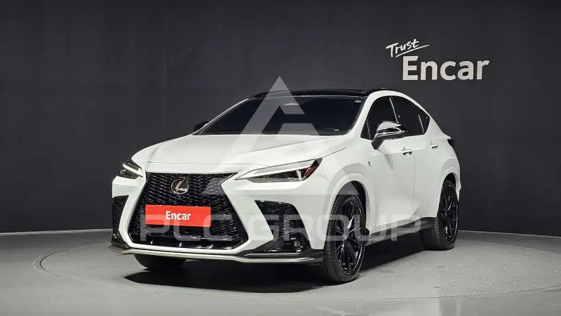 2025 Lexus NX