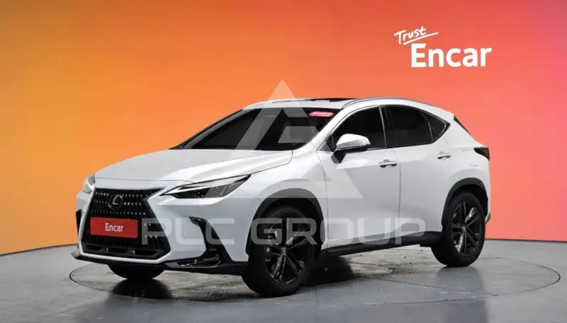 2025 Lexus NX
