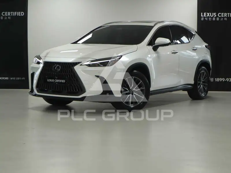 2025 Lexus NX