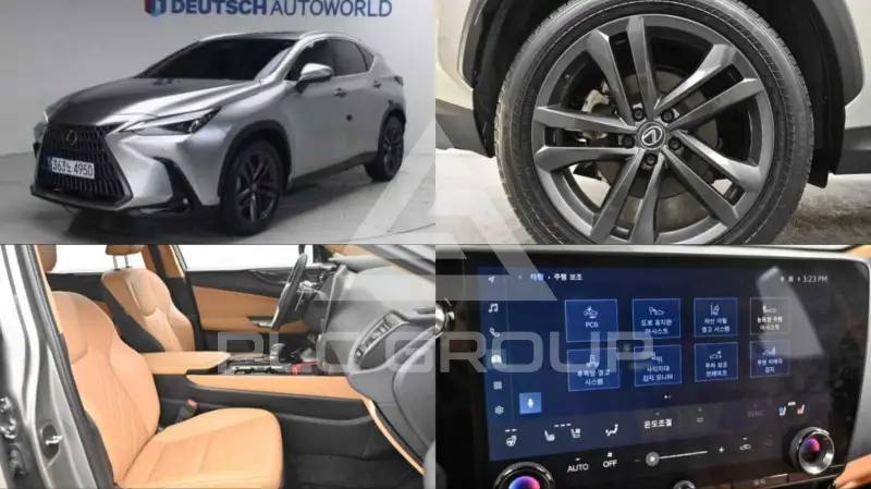 2025 Lexus NX