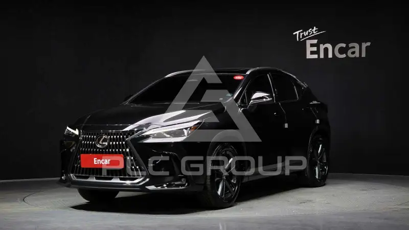 2025 Lexus NX