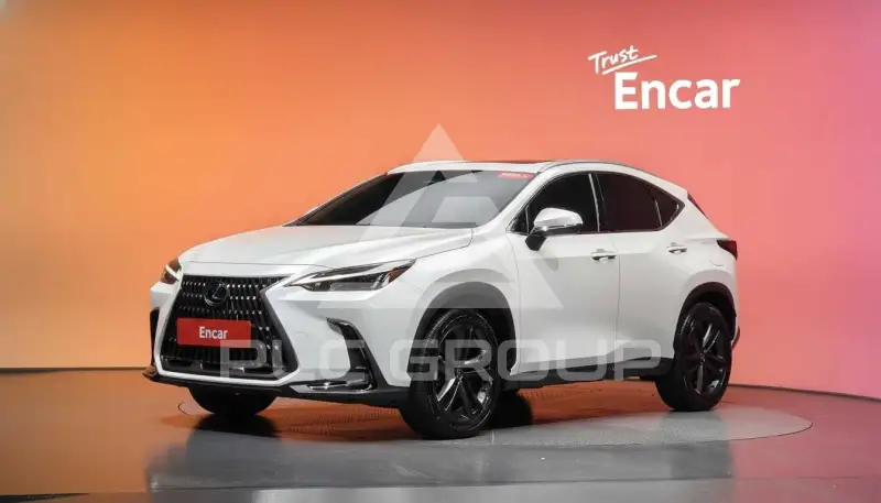 2025 Lexus NX