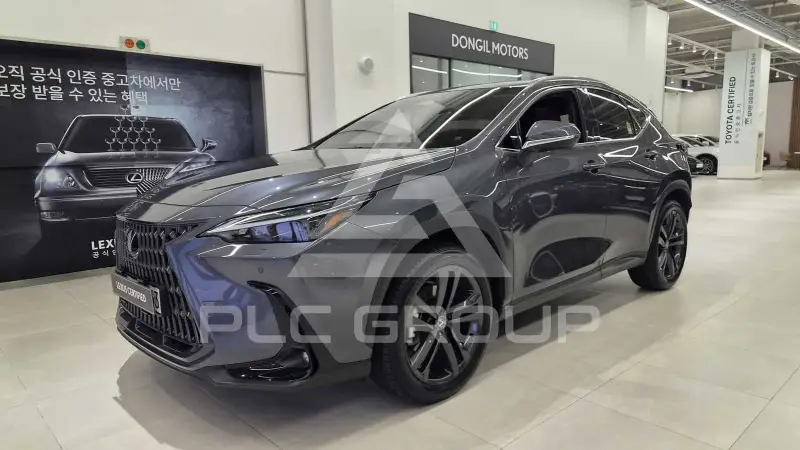 2025 Lexus NX