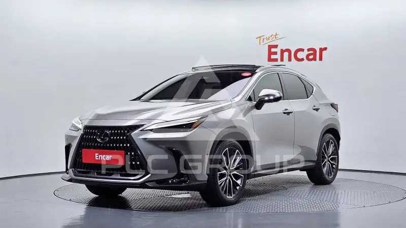 2025 Lexus NX