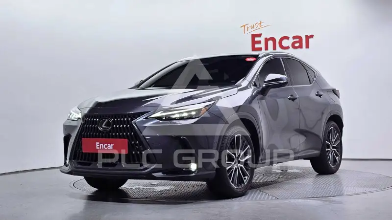 2025 Lexus NX