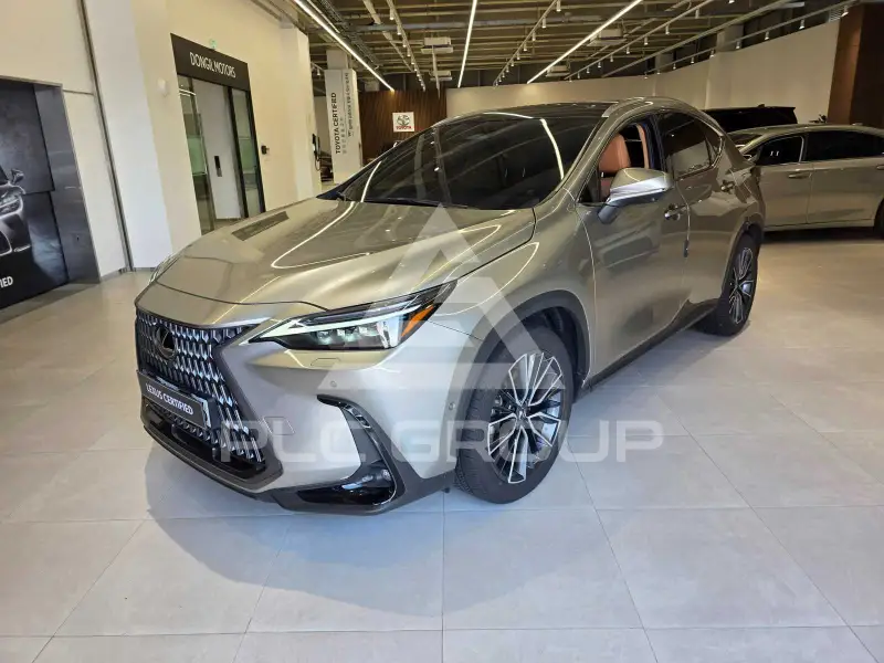 2025 Lexus NX
