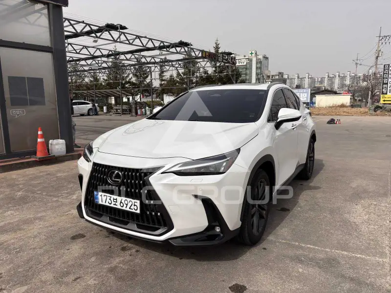 2025 Lexus NX