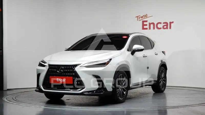 2025 Lexus NX