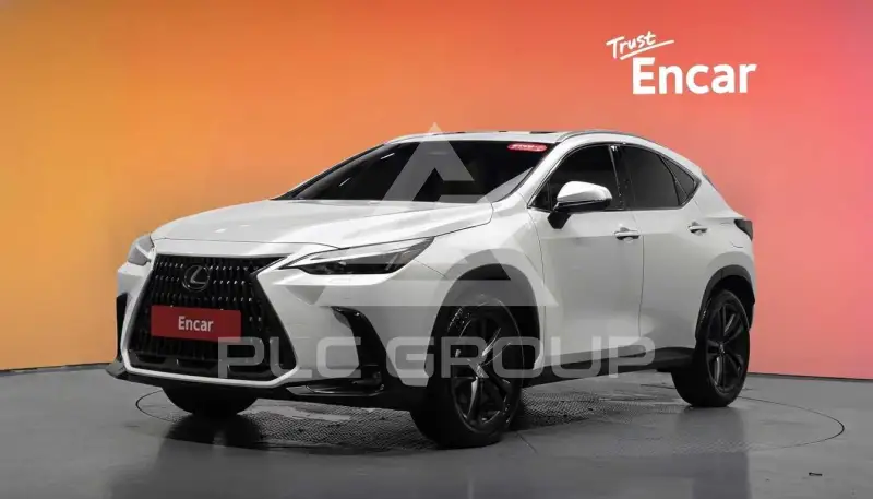 2025 Lexus NX