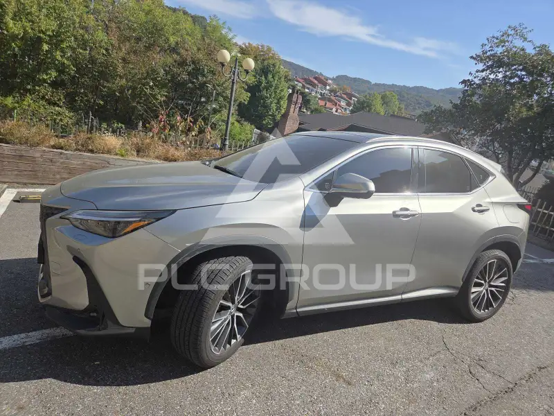 2025 Lexus NX