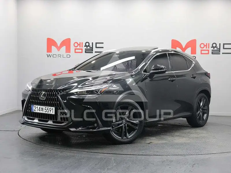 2025 Lexus NX