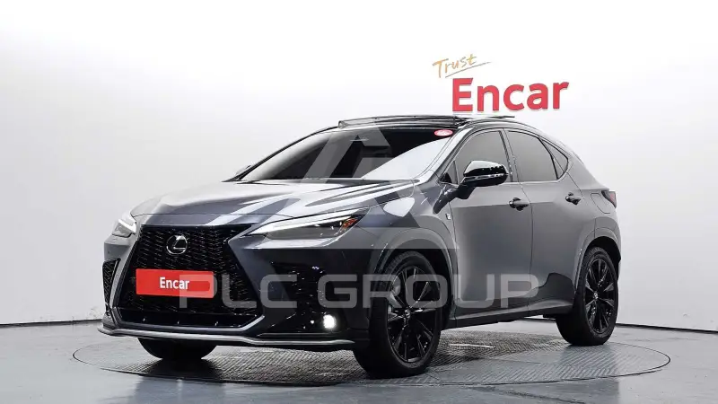 2025 Lexus NX