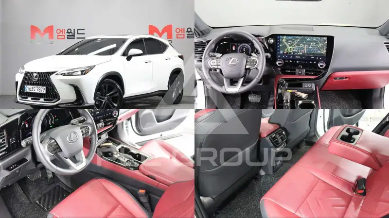 2025 Lexus NX