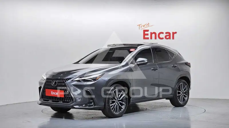 2025 Lexus NX