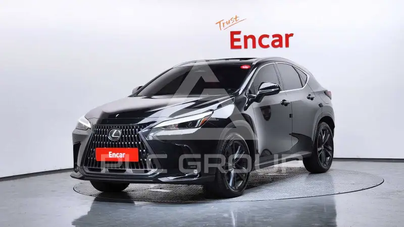 2025 Lexus NX