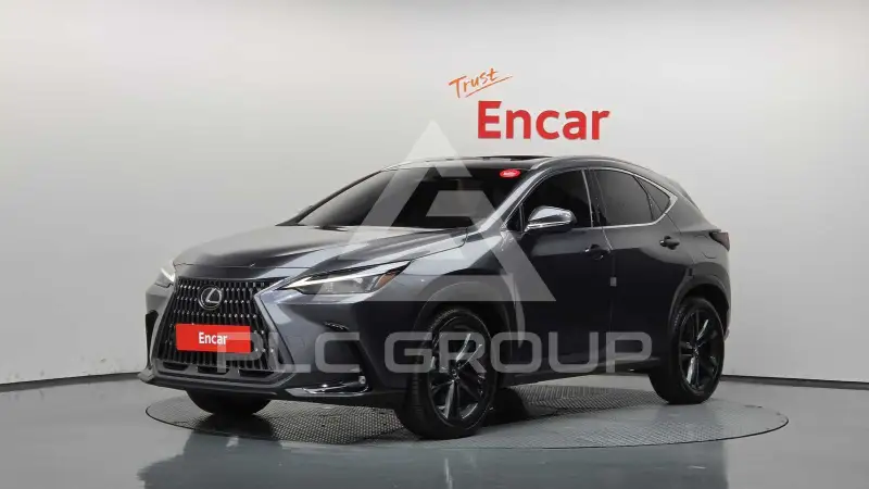 2025 Lexus NX