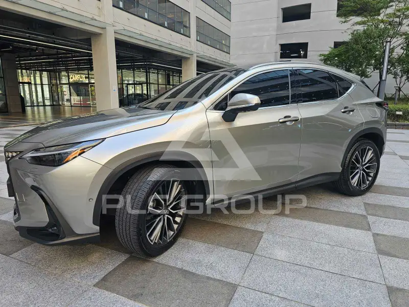 2025 Lexus NX