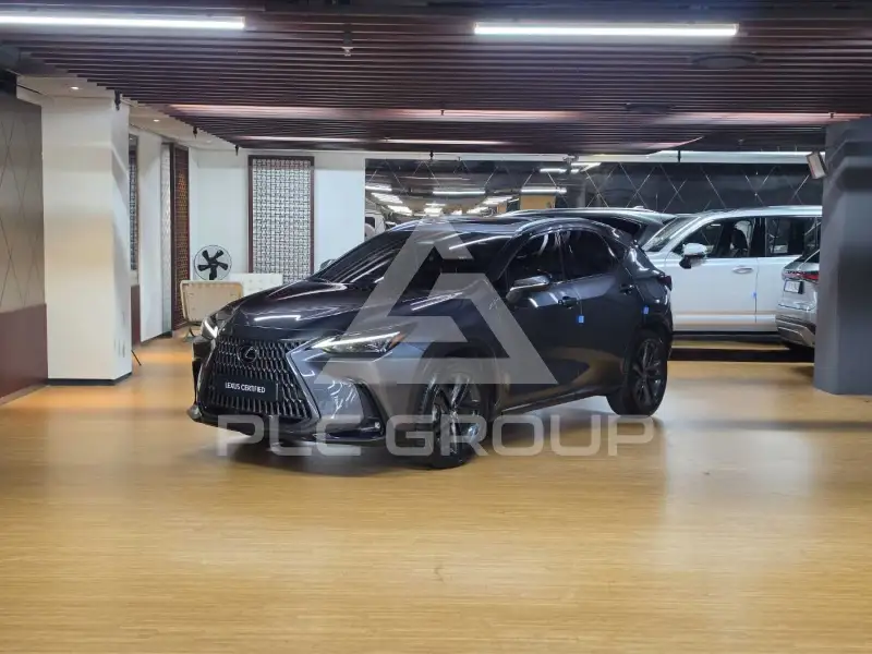2025 Lexus NX