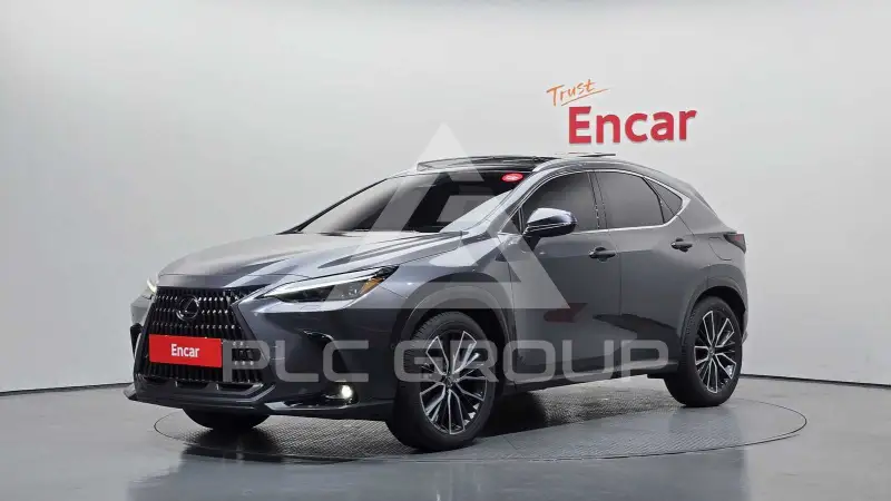 2025 Lexus NX