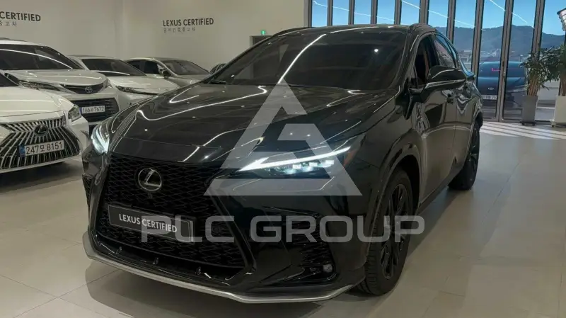 2025 Lexus NX