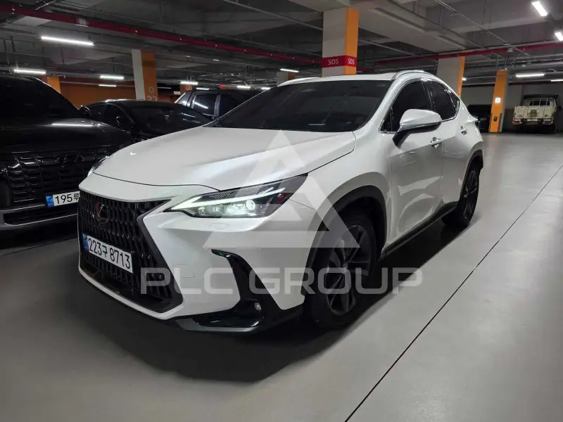 2025 Lexus NX