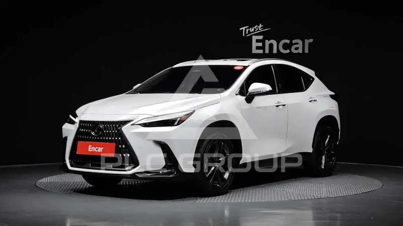 2025 Lexus NX