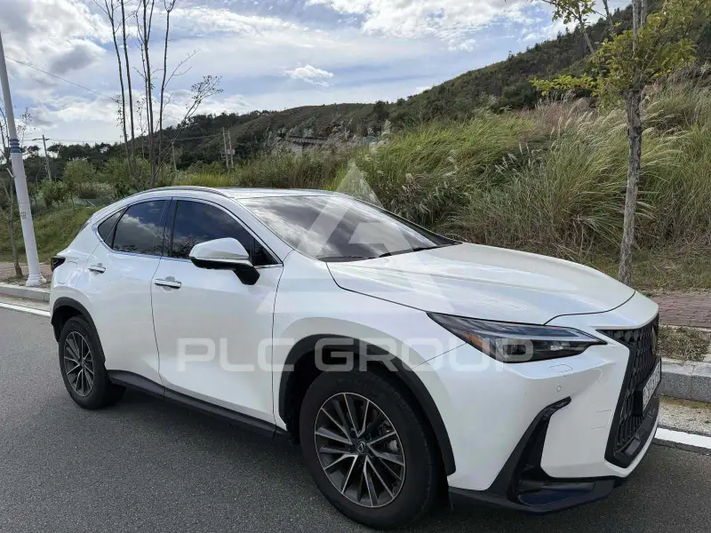 2025 Lexus NX