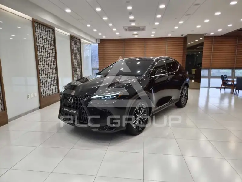 2025 Lexus NX