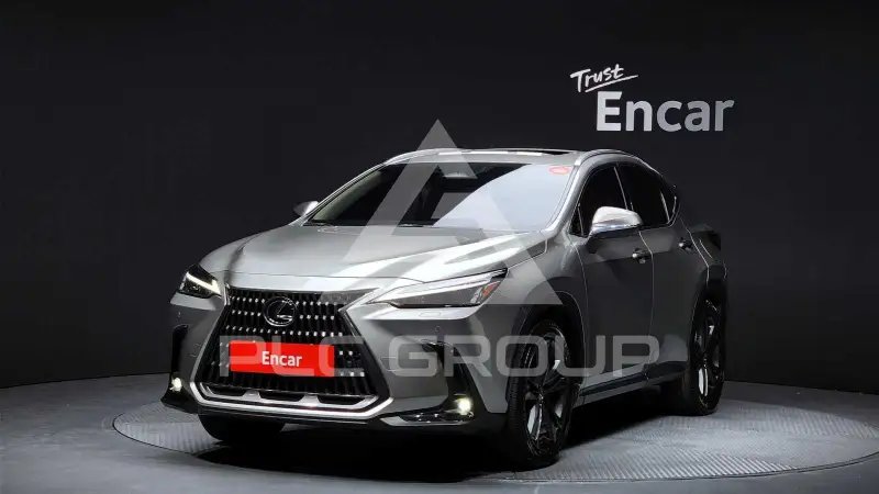 2025 Lexus NX
