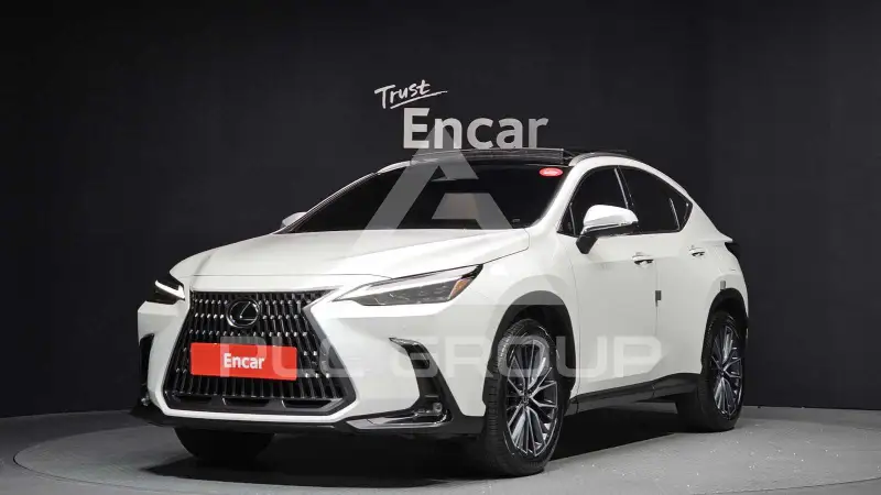2025 Lexus NX