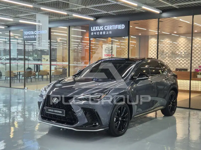2025 Lexus NX