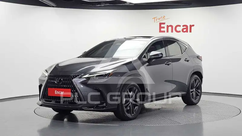 2025 Lexus NX