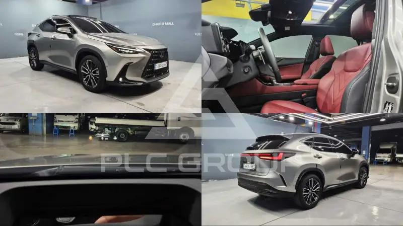 2025 Lexus NX