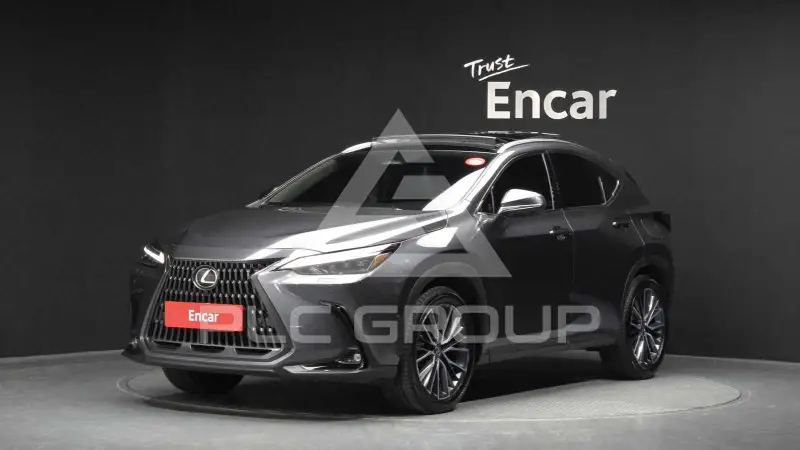 2025 Lexus NX