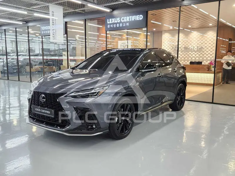 2025 Lexus NX