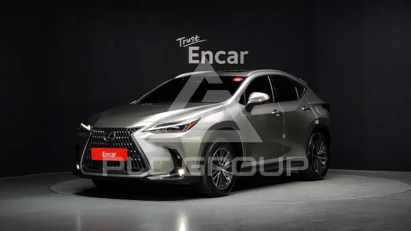 2025 Lexus NX