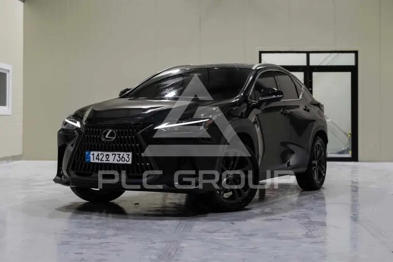 2025 Lexus NX